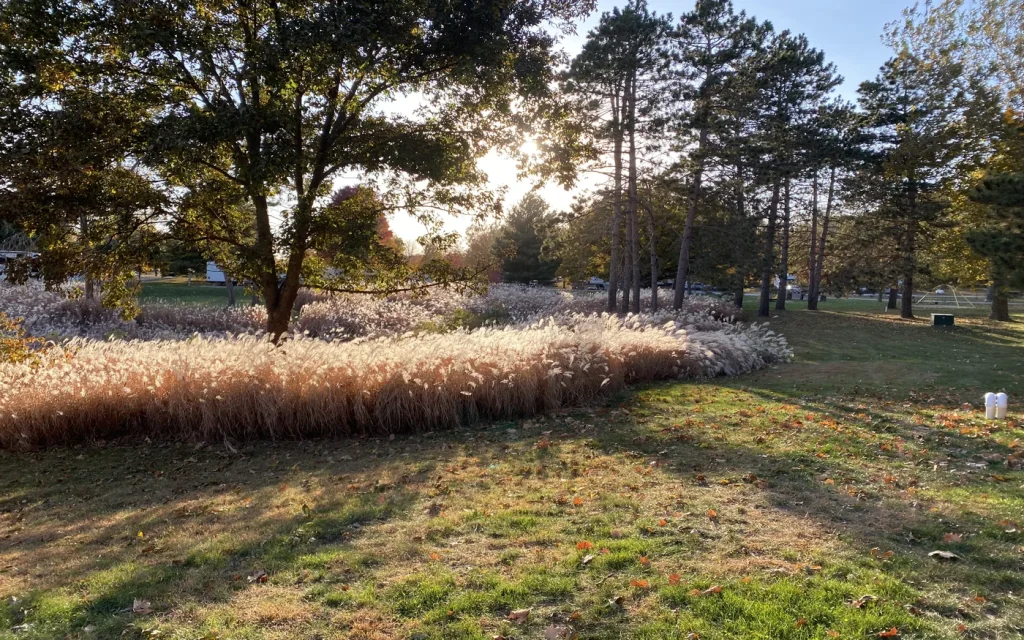 gallery-river-oaks-rv-park