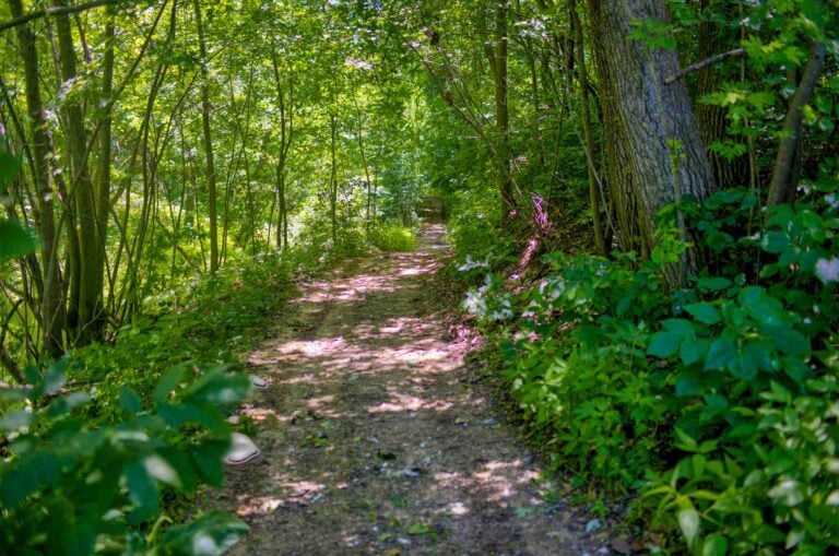 Hiking Trails